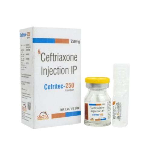 CEFRITEC-250GM