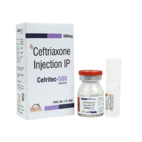 CEFRITEC-500GM